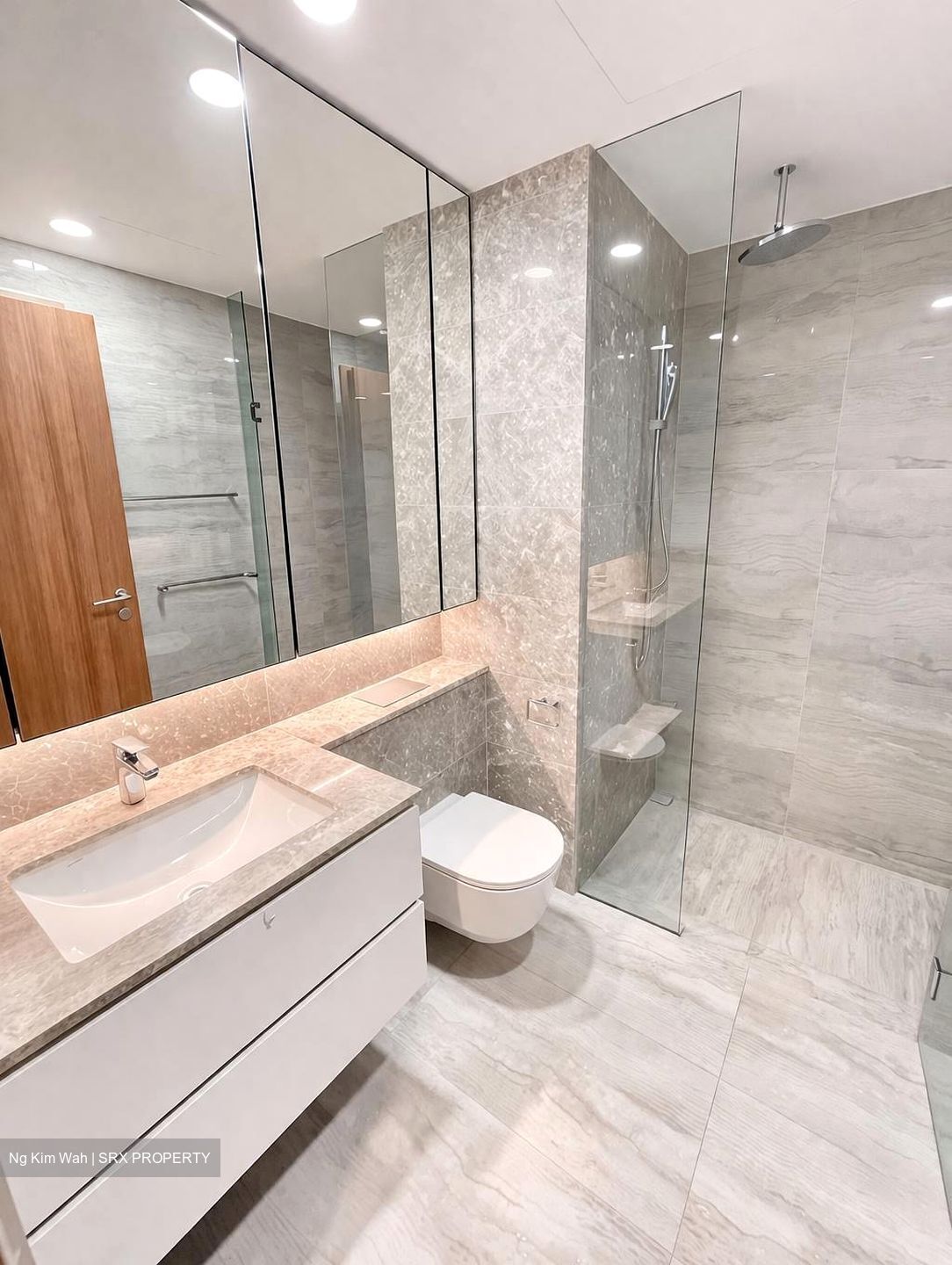 Fourth Avenue Residences (D10), Apartment #536587181